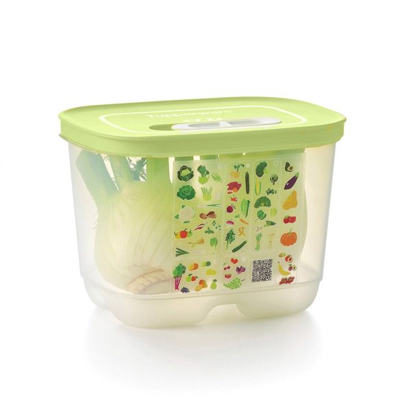 Tupper Ware Tupperware® FridgeSmart® Small Deep | Produce Storage Container With Lid
